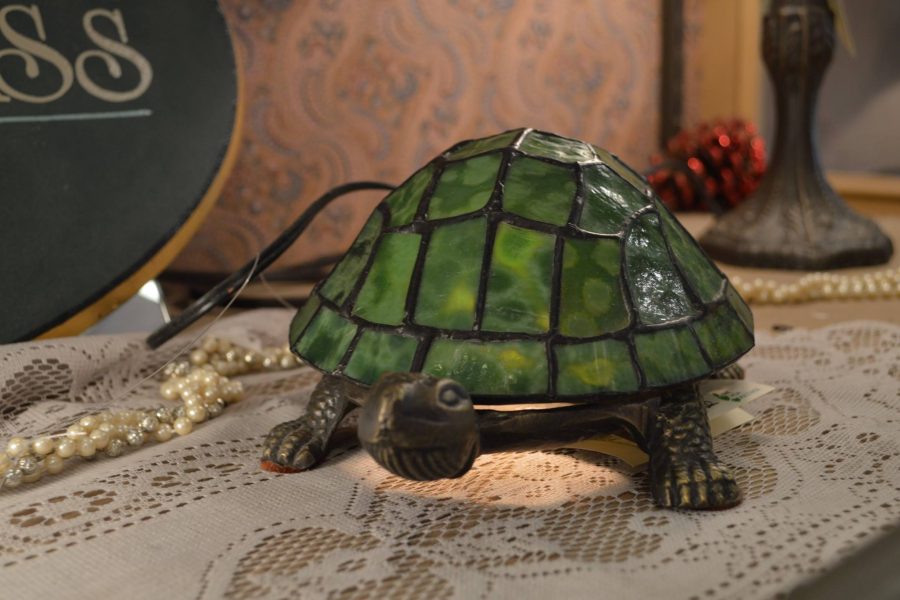 turtle lamp