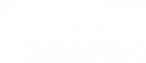 Adirondack Stained Glass